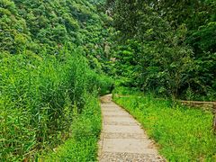 -白河湾生态旅游一条川