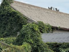 -洛阳古墓博物馆