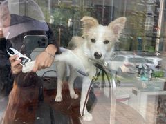 -宠颐生动物医院·心脏科·保险定点(锦阳分院)