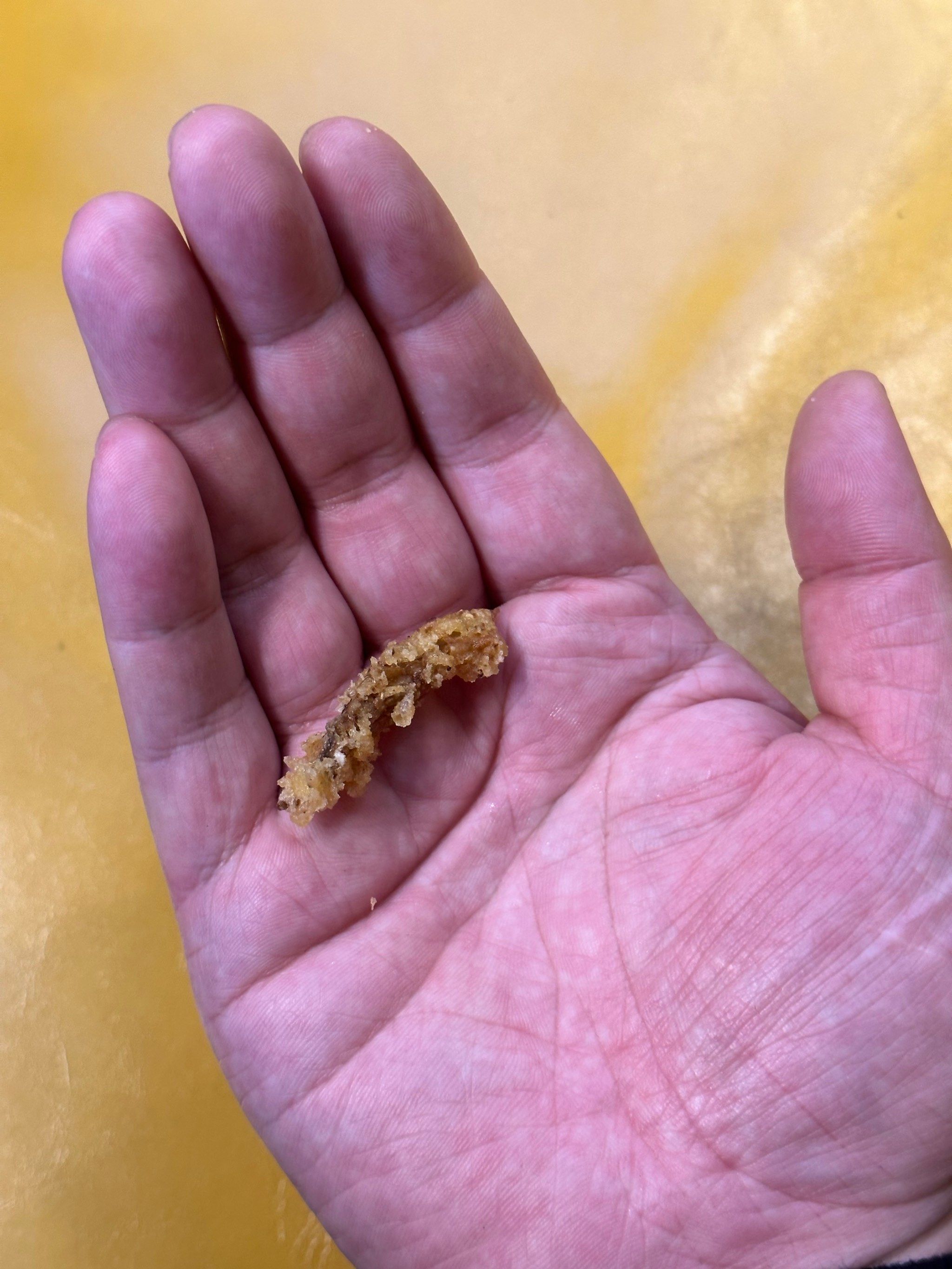 耳朵里掏出来的,这是什么