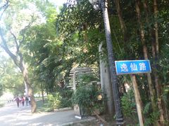 -中山大学学者灵芝(园南路店)