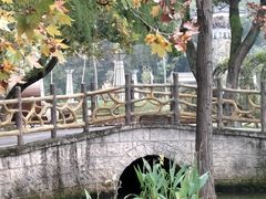 -青龙山国家森林公园