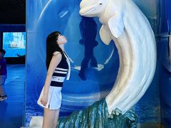 -多彩贵州城极地海洋世界