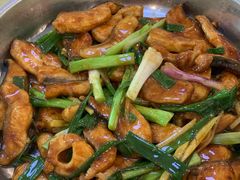 鸭嘴鱼-鲤鱼塘农家山庄