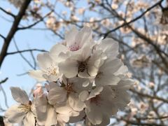 -大宁灵石公园西门票处