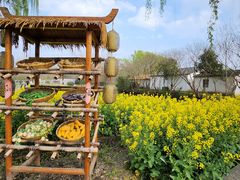 -溱湖国家湿地公园