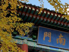 -阅江楼风景区