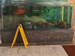 -聚福宝合苑食府(南头镇店)