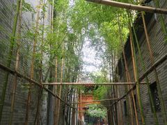 -龙潭水乡