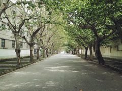 -冶山国家矿山公园