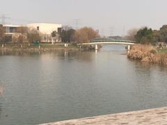 -九里河湿地公园