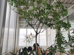 -娜娜家•Nana's restaurant (南开大悦城店)