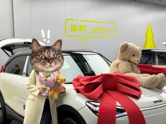 -上海浦东smart汽车全功能店(金桥店)