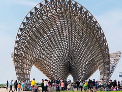 -南汇嘴观海公园