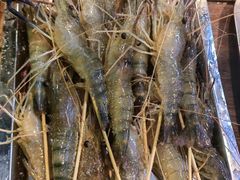 -小象钓虾·营地烧烤(洛溪店)