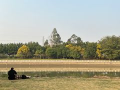 -王借岗森林公园