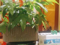 -小八仙·宴(三峡茶庄店)