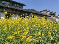-上坦村