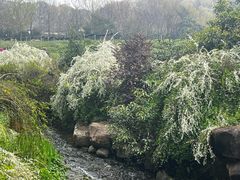 -中国茶叶博物馆(双峰馆区)