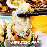 【蚝英雄】人均100多，实现生蚝自由！