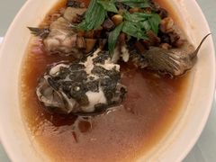 -浦华大酒店-台南担仔面海鲜楼
