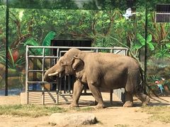 -西安秦岭野生动物园