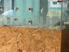-怪兽屋·羊驼·猫咖·狗咖(俊华广场店)