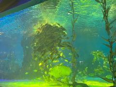 -常州海昌海洋探索馆