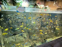 -嘉兴海底世界