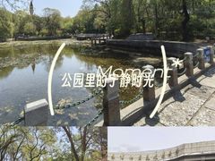 -黑龙江省森林植物园