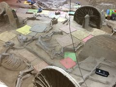 -洛阳周王城天子驾六博物馆