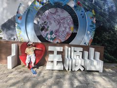 -王顺山国家森林公园