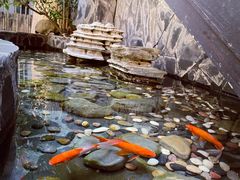 -上席擂茶·新中式青年茶馆(古城店)