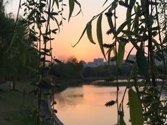 -南翔镇银翔湖公园