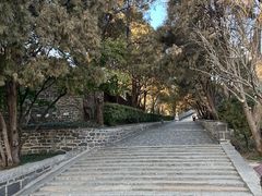 -蓬莱阁景区