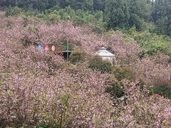 -天眼洞·花岭风景区