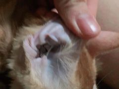 -荔康动物医院(康王北路店)