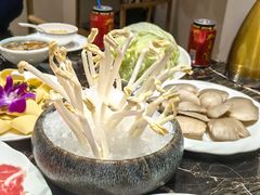 有机花生芽-臻牧壹品雪花牛肉火锅(大兴九臻店)