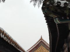 -颐和园