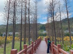 -广州市石门国家森林公园