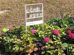 -云溪植物园
