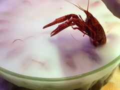 -红盔甲·小龙虾(天钥桥店)