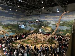 -自贡恐龙博物馆