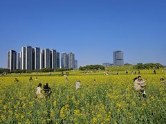 -光明小镇欢乐田园