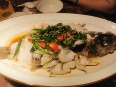 -蕉棠·鸽子餐厅(柳州万象城店)