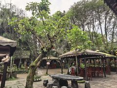 -土砂锅生态山庄·非遗砂锅雅鱼