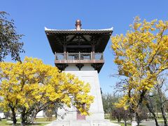-呼兰河口湿地公园