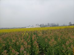 -中国天府农业博览园