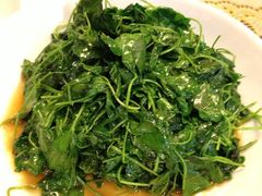 酒香金花菜-新聚丰菜馆(太监弄店)
