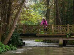 -桤木河湿地公园